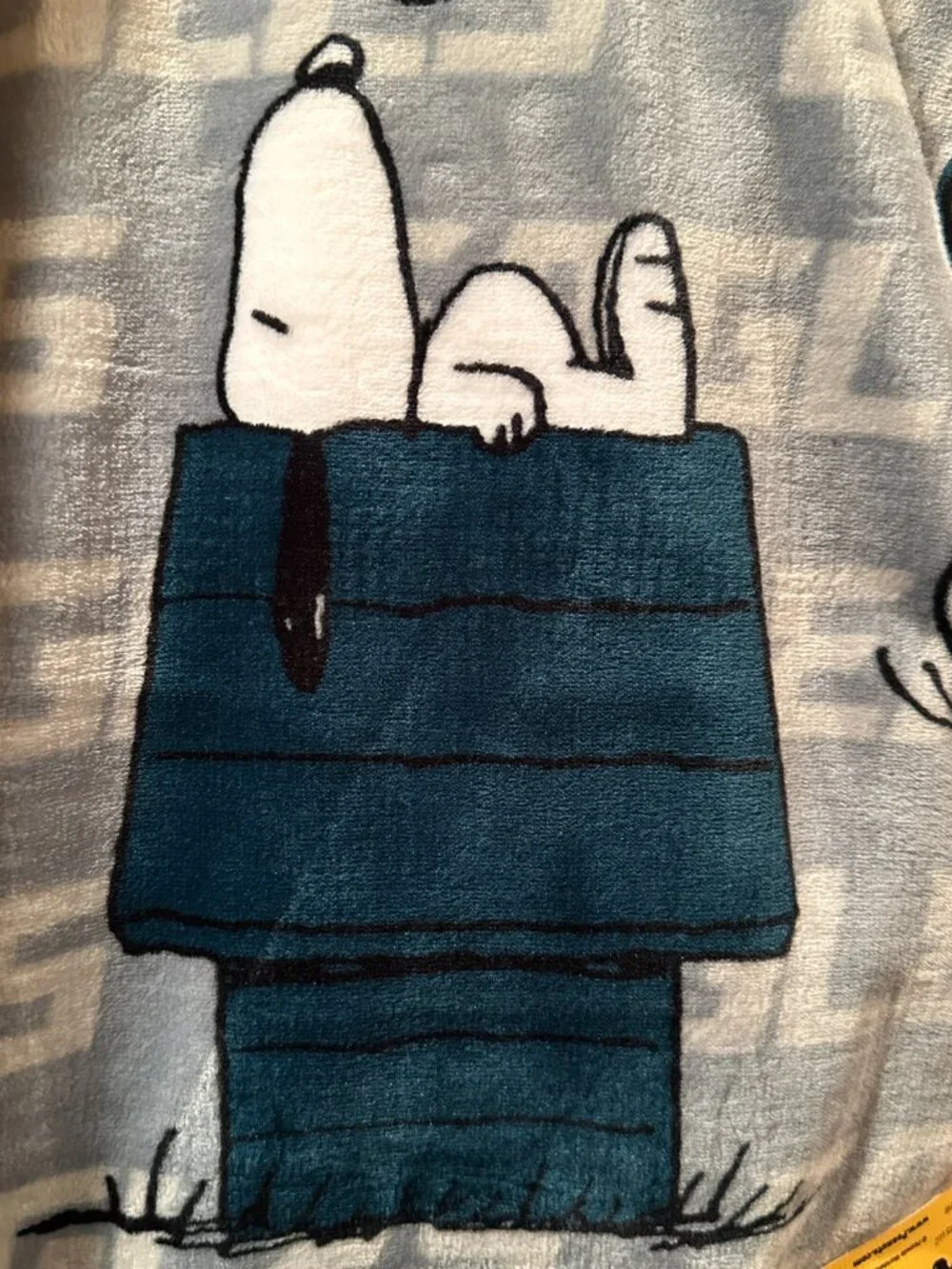 Peanuts NFL Philadelphia Eagles Snoopy 60